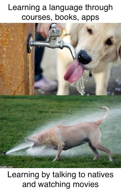 Meme. The top panel shows a dog drinking water from a tap, captioned 'Learning a language through courses, books, apps'. The bottom panel shows a dog trying to drink from a strong jet of water from a sprinkler, captioned 'Learning by talking to natives and watching movies'.